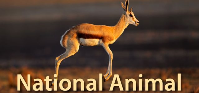 list-of-national-animals-of-different-countries