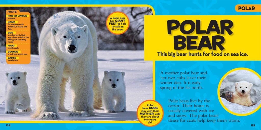 17 best Animal Books for Kids and Toddlers: Animal Picture Books