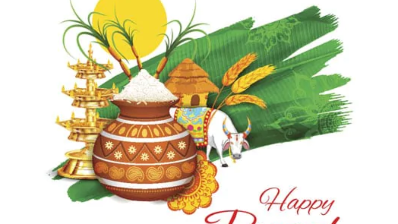 Pongal 2023: Date, Significance, Story behind Festival of Pongal ...
