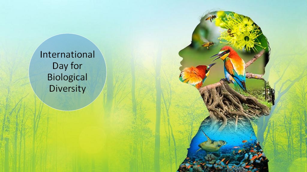 International Day for Biological Diversity