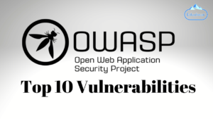 OWASP Top 10 Vulnerabilities 2023