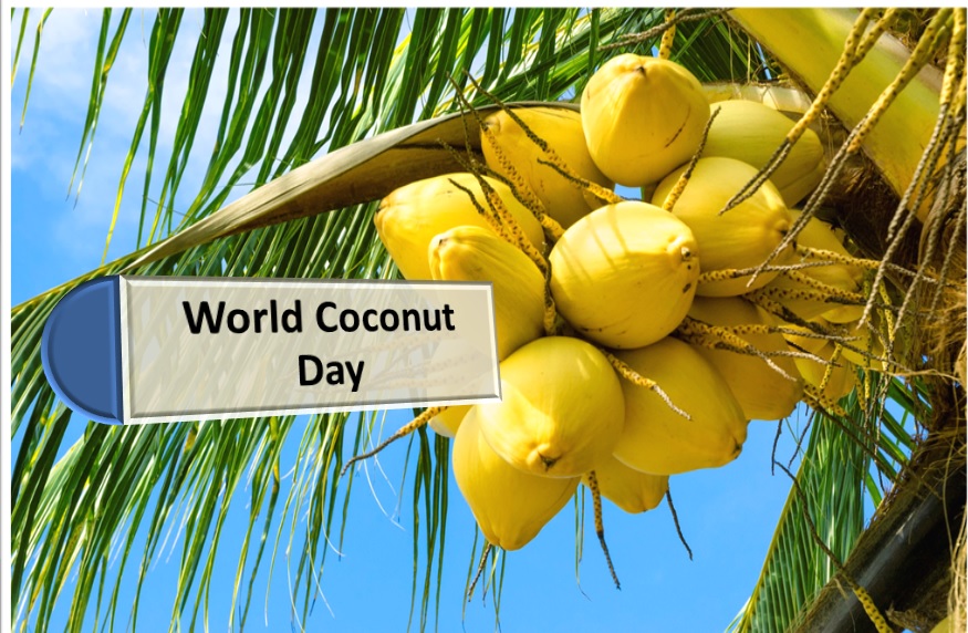 World Coconut Day 2023