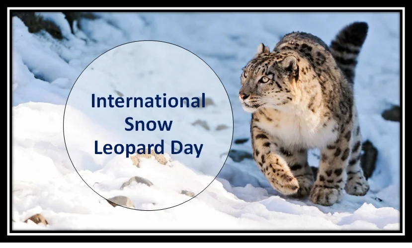 International Snow Leopard Day