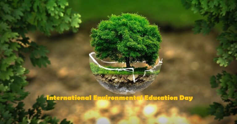International Environmental Education Day 768x403 