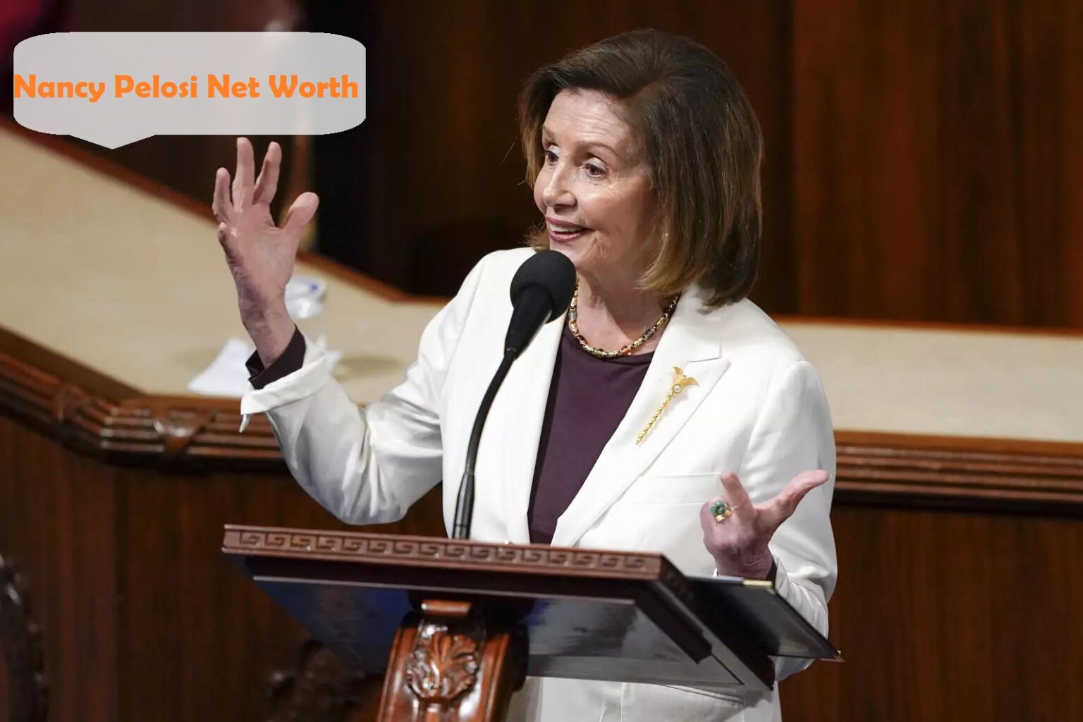 Nancy Pelosi Net Worth 2023 Biography Salary Age Husband Edudwar