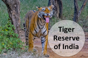 List of 54 Tiger Reserves of India - Edudwar