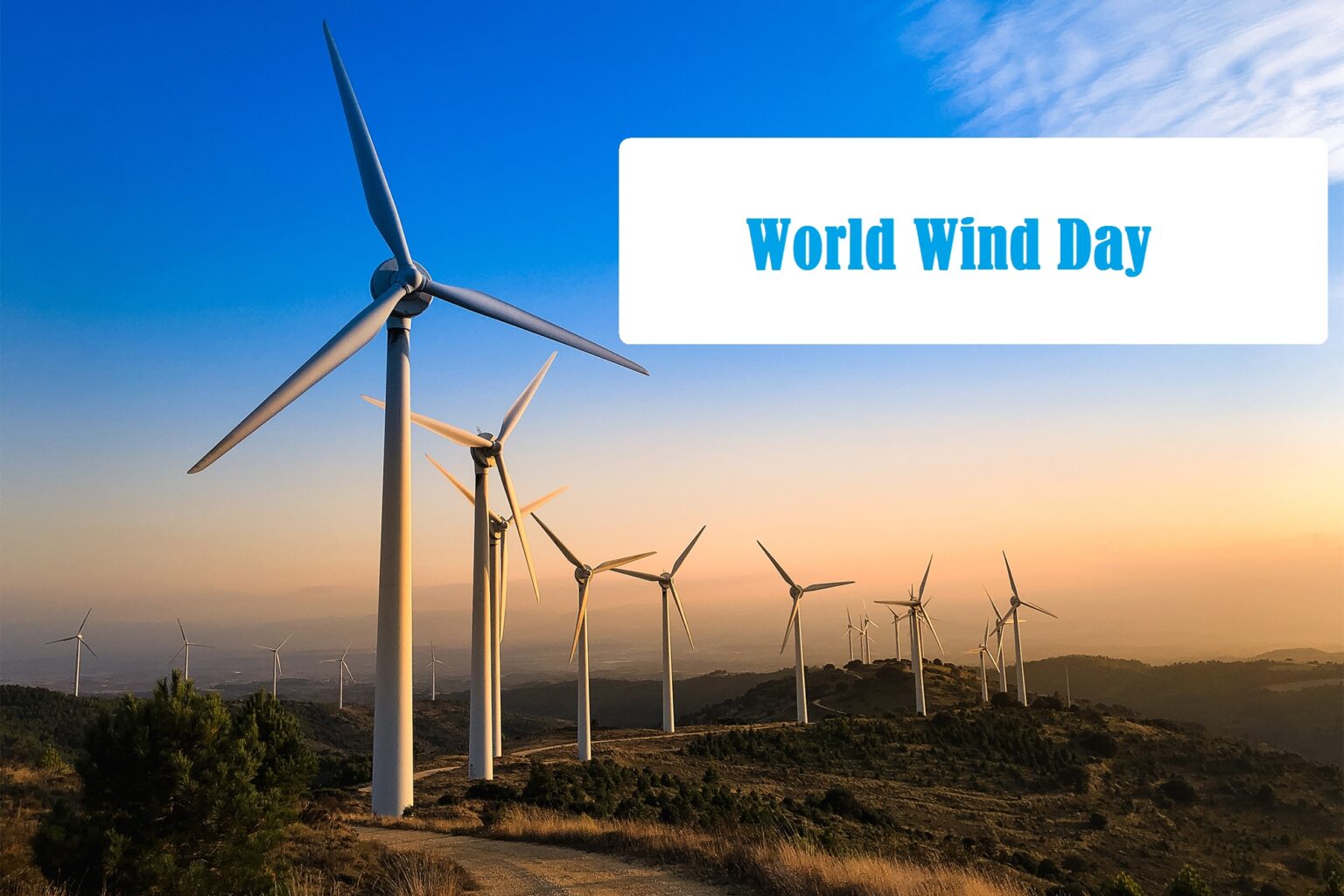 World Wind Day 2024: A day that celebrates the power of wind energy ...