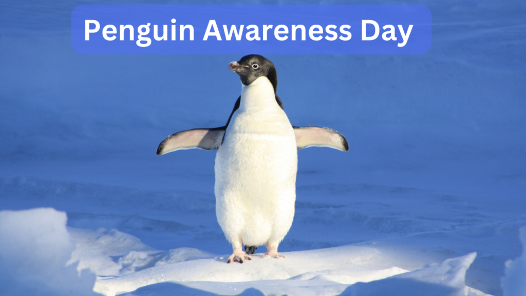 Penguin Awareness Day 2024 Activities Inez Justinn