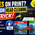 Epson Printer Printing Lines