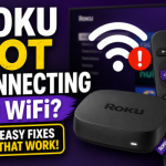 roku not connecting